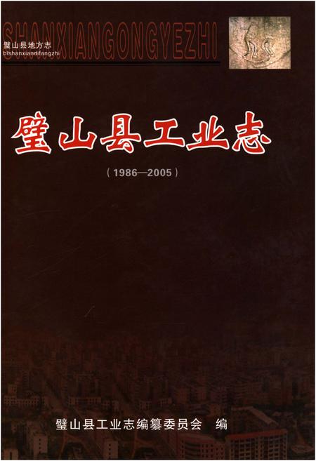 《璧山县工业志(1986-2005)》.pdf电子版_重庆市志插图
