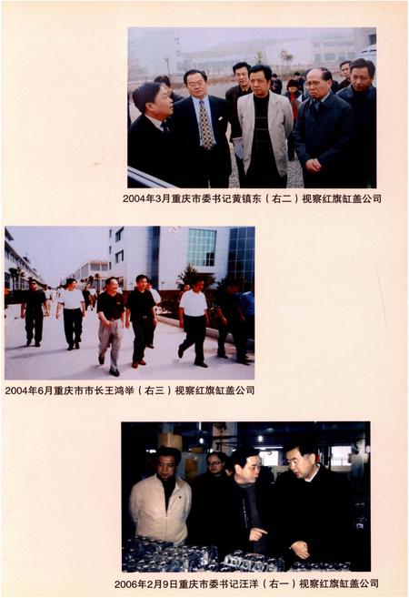 《璧山县工业志(1986-2005)》.pdf电子版_重庆市志插图5