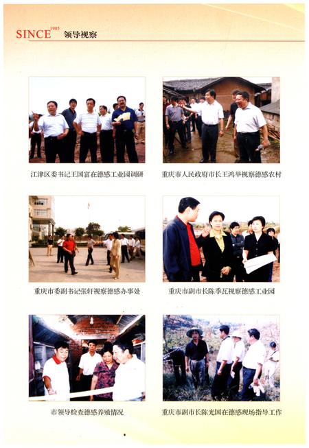 《德感街道办事处志1905-2006》.pdf电子版_重庆市志插图5