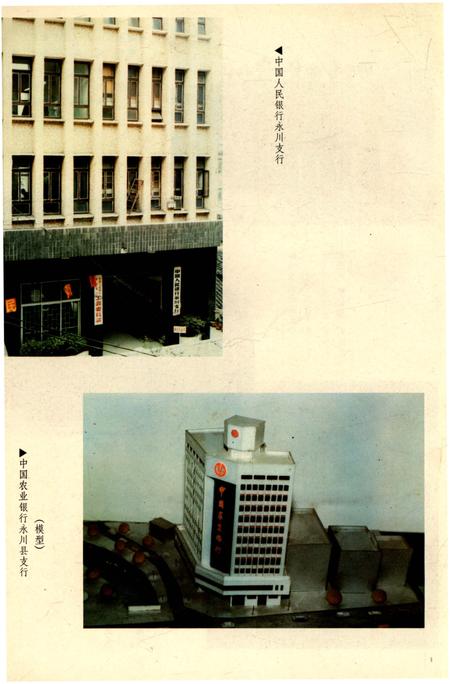 《永川县金融志1911-1988》.pdf电子版_重庆市志插图4