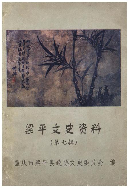 《梁平文史资料 第七辑》.pdf电子版_重庆市志插图