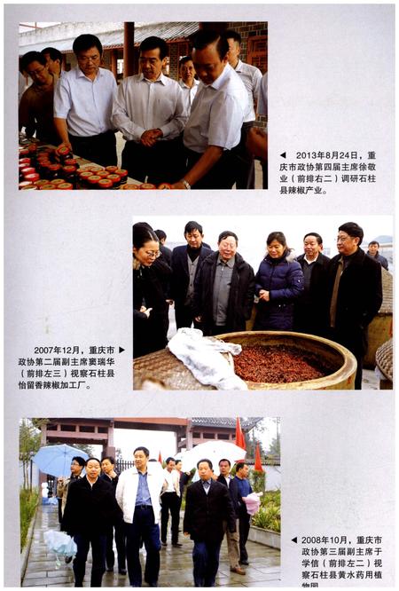 《石柱土家族自治县委员会志(1949-2015)》.pdf电子版_重庆市志插图5 《石柱土家族自治县委员会志(1949-2015)》.pdf电子版_重庆市志插图5