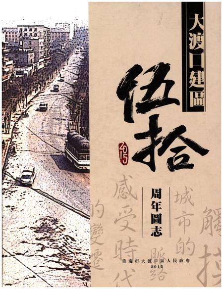 《大渡口建区五十周年区志》.pdf电子版_重庆市志