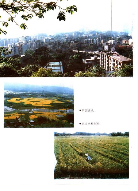 《垫江县志》.pdf电子版_重庆市志插图3 《垫江县志》.pdf电子版_重庆市志插图3