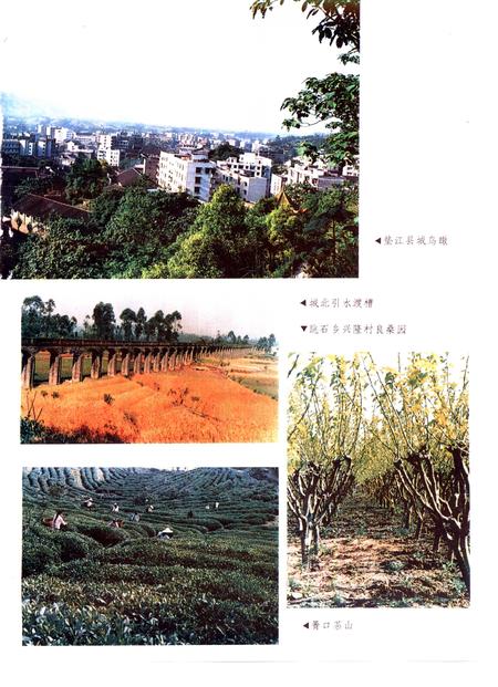 《垫江县志》.pdf电子版_重庆市志插图4 《垫江县志》.pdf电子版_重庆市志插图4