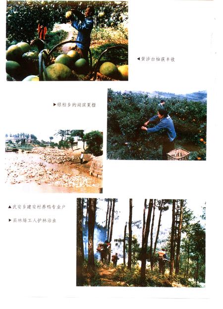 《垫江县志》.pdf电子版_重庆市志插图5 《垫江县志》.pdf电子版_重庆市志插图5