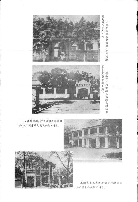 《广州市志·共产党志》.pdf电子版_广东省志插图5