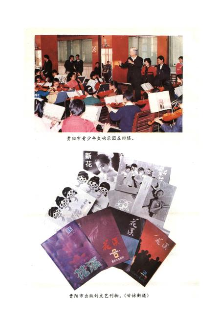 《贵阳市志 文化新闻志》.pdf电子版_贵州省志插图5