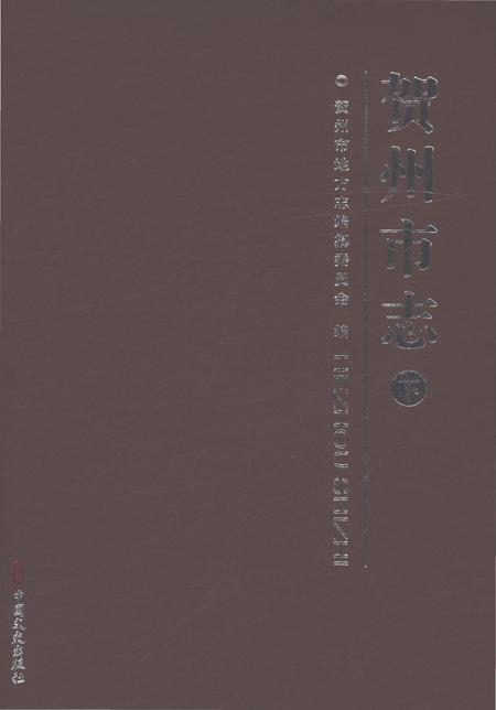 《贺州市志下》.pdf电子版_广西壮族自治区志缩略图