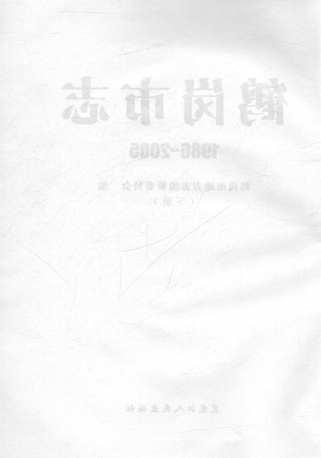《鹤岗市志1986-2005下册》.pdf电子版_黑龙江省志插图2
