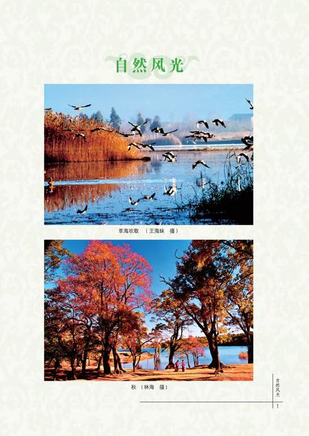 《鹤庆县志1978-2005》.pdf电子版_云南省志插图3