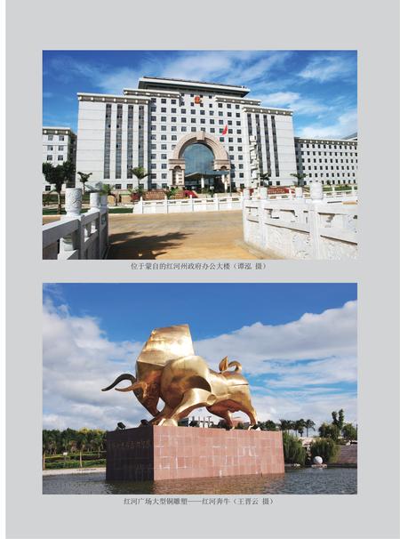 《红河州志（1978-2005）中册》.pdf电子版_云南省志插图2