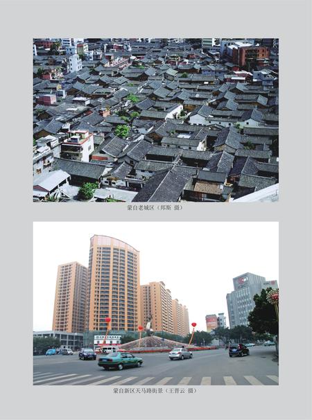《红河州志（1978-2005）中册》.pdf电子版_云南省志插图3