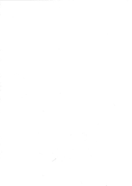 《惠水县志(1978-2015)下册》.pdf电子版_贵州省志插图2 《惠水县志(1978-2015)下册》.pdf电子版_贵州省志插图2