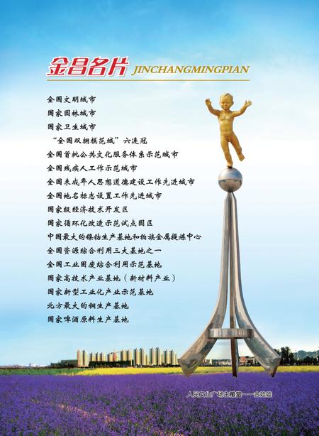 《金昌市志 （1992-2010）》.pdf电子版_甘肃省志插图5