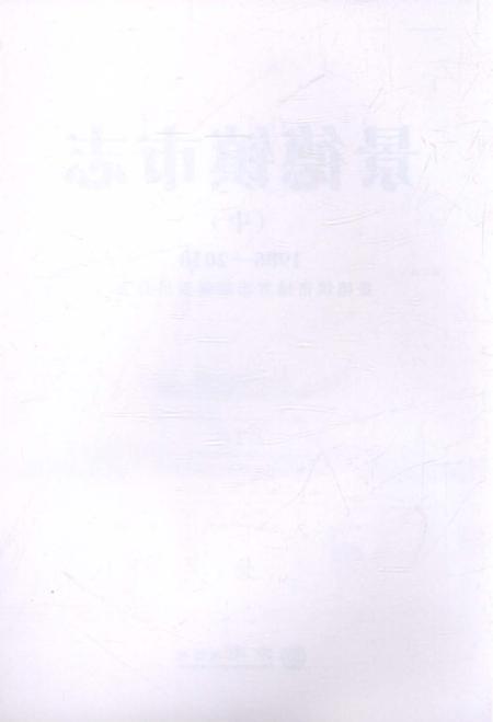 《景德镇市志1986-2010 中册》.pdf电子版_江西省志插图2
