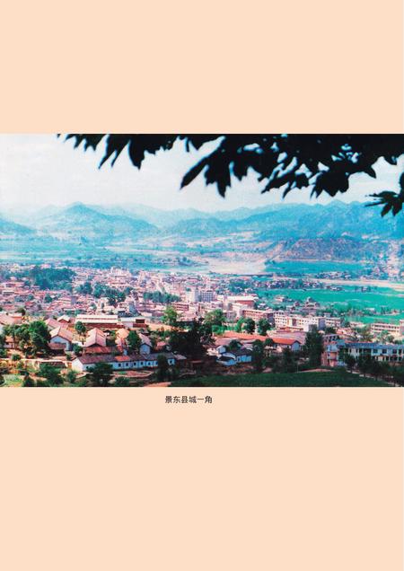 《景东彝族自治县志》.pdf电子版_四川省志插图5