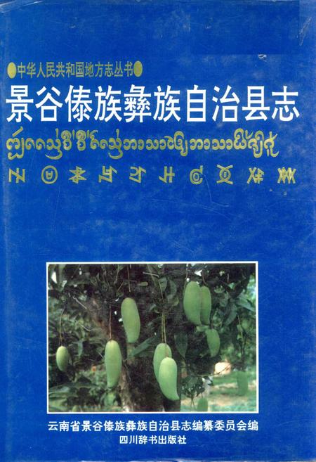 《景谷傣族彝族自治县志》.pdf电子版_云南省志插图