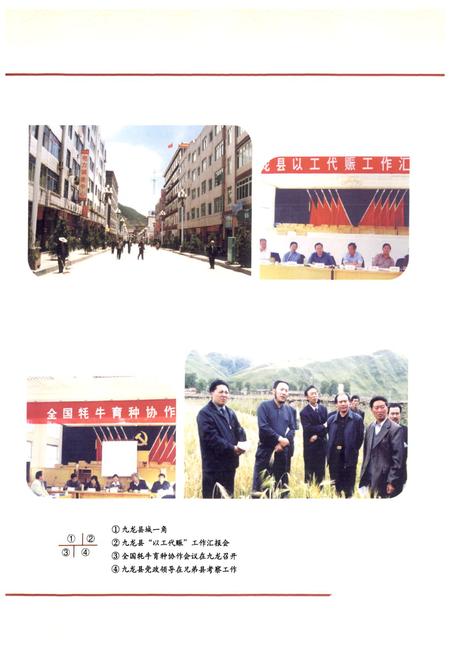 《九龙县志 续篇(1986-2000年)》.pdf电子版_四川省志插图5