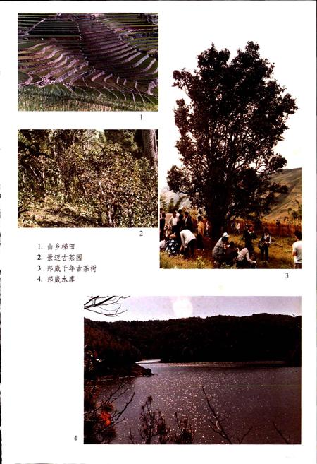 《澜沧拉祜族自治县志》.pdf电子版_云南省志插图4
