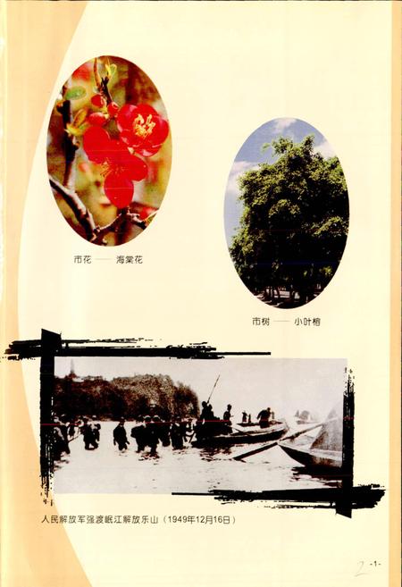 《乐山市志（上）》.pdf电子版_四川省志插图3