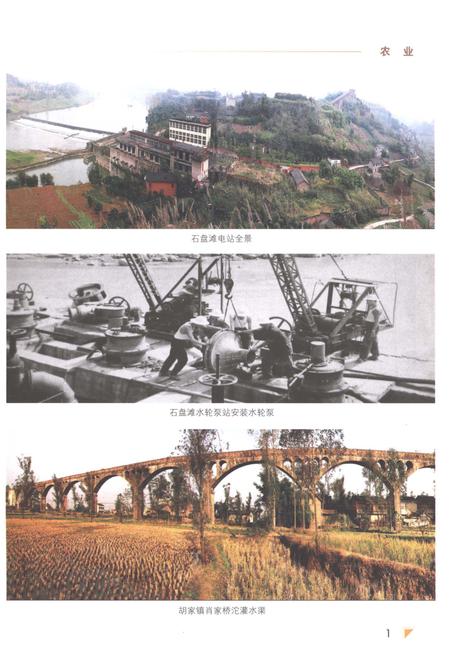 《隆昌县志1986-2002》.pdf电子版_四川省志插图3