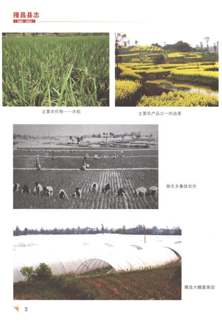 《隆昌县志1986-2002》.pdf电子版_四川省志插图4