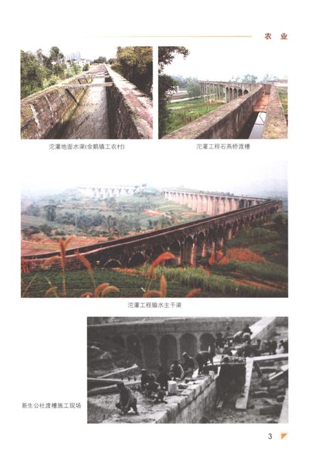 《隆昌县志1986-2002》.pdf电子版_四川省志插图5