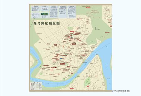 《泸州市龙马潭区志 （1996-2005）》.pdf电子版_四川省志插图4