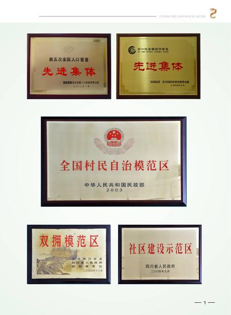 《泸州市龙马潭区志 （1996-2005）》.pdf电子版_四川省志插图5