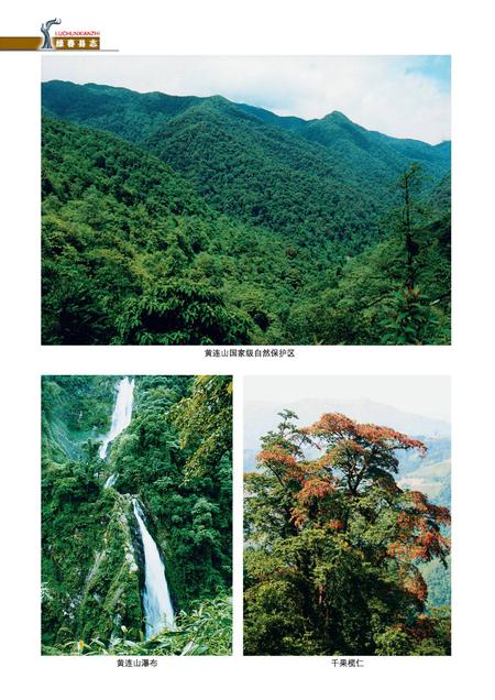 《绿春县志(1978-2005)》.pdf电子版_云南省志插图4