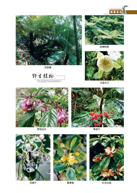 《绿春县志(1978-2005)》.pdf电子版_云南省志插图5
