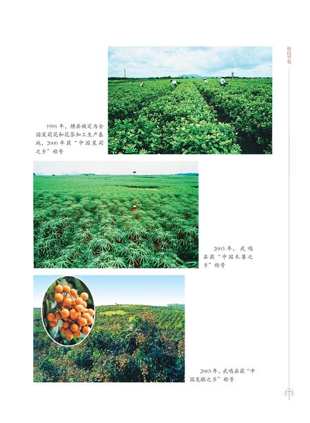 《南宁市志1991—2005（三）》.pdf电子版_广西壮族自治区志插图2