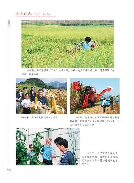 《南宁市志1991—2005（三）》.pdf电子版_广西壮族自治区志插图3
