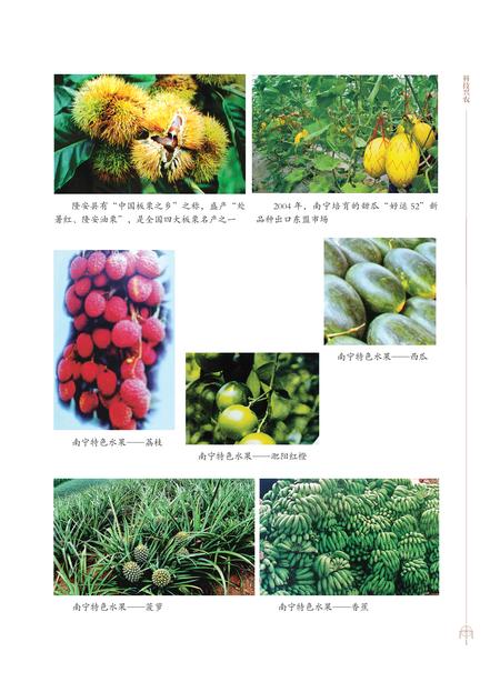 《南宁市志1991—2005（三）》.pdf电子版_广西壮族自治区志插图4