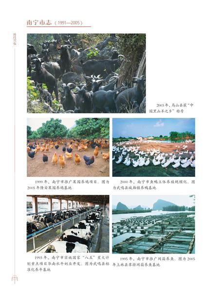 《南宁市志1991—2005（三）》.pdf电子版_广西壮族自治区志插图5