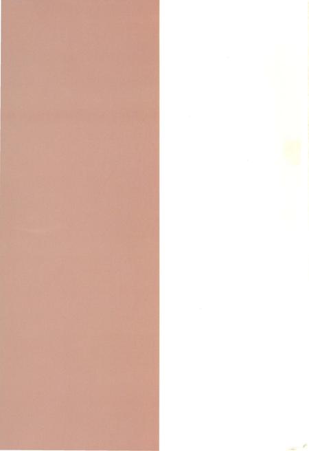《莆田市志(1991-2005)下册》.pdf电子版_福建省志插图1