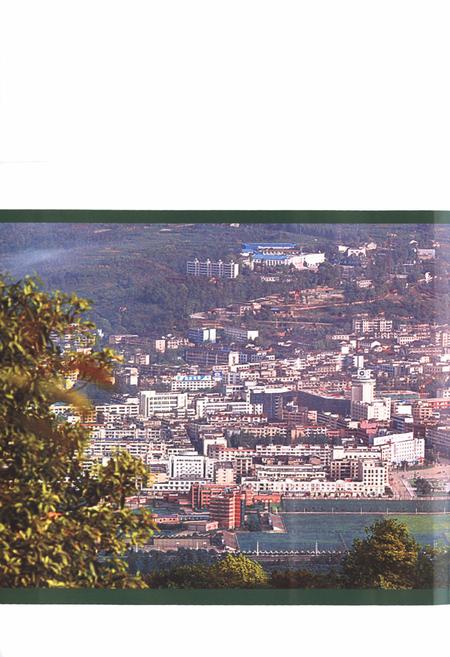 《蒲江县志 1986-2005》.pdf电子版_四川省志插图4