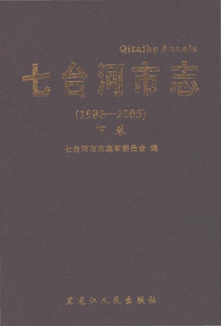 《七台河市志（1986-2005）下卷》.pdf电子版_黑龙江省志插图