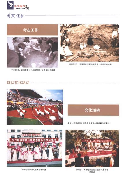 《齐齐哈尔市志1986-2005（四）》.pdf电子版_黑龙江省志插图5