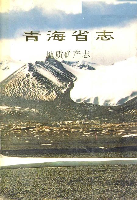 《青海省志 地质矿产志》.pdf电子版_青海省志插图