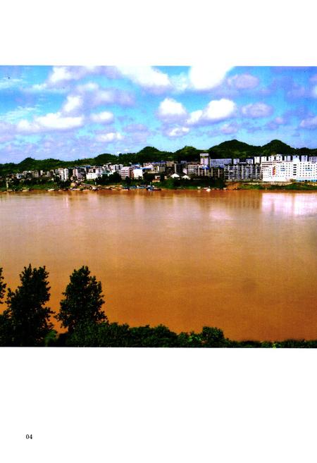 《渠县志 1986-2005》.pdf电子版_四川省志插图4