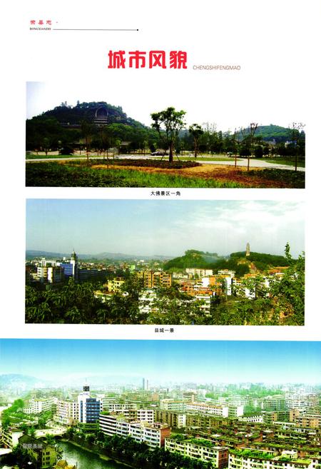 《荣县志(1986-2003)》.pdf电子版_四川省志插图5