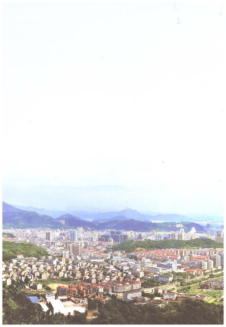 《温岭市志1988-2007(下)》.pdf电子版_浙江省志插图1