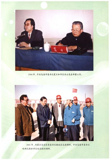 《乌海市志（1994年-2008年）》.pdf电子版_内蒙古自治区志插图5