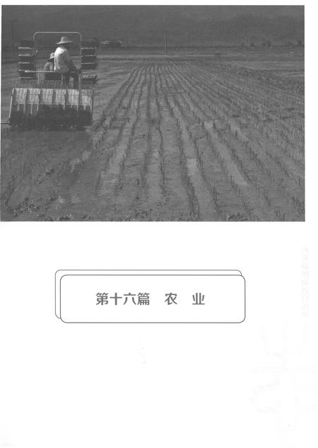 《西双版纳傣族自治州志（1994-2005）下》.pdf电子版_云南省志插图3