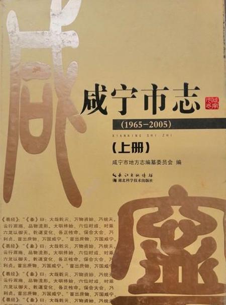 《咸宁市志（1965-2005）上册》.pdf电子版_湖北省志插图