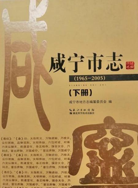 《咸宁市志（1965-2005）下册》.pdf电子版_湖北省志插图