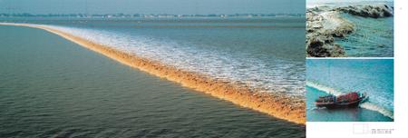 《萧山市志 (1985-2001) 第一册》.pdf电子版_浙江省志插图5 《萧山市志 (1985-2001) 第一册》.pdf电子版_浙江省志插图5