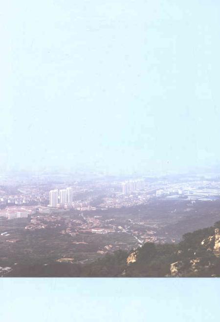 《辛安街道志1993-2014》.pdf电子版_山东省志插图3 《辛安街道志1993-2014》.pdf电子版_山东省志插图3